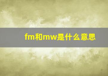 fm和mw是什么意思