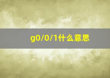 g0/0/1什么意思