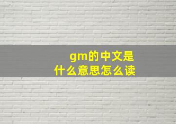 gm的中文是什么意思怎么读