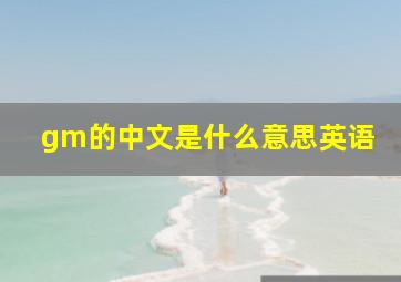 gm的中文是什么意思英语