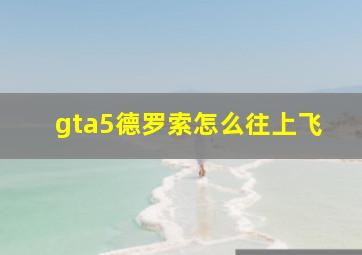 gta5德罗索怎么往上飞