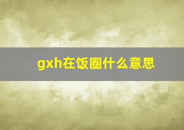 gxh在饭圈什么意思