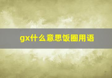 gx什么意思饭圈用语