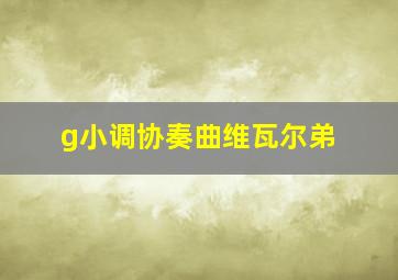 g小调协奏曲维瓦尔弟