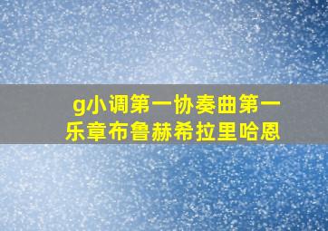 g小调第一协奏曲第一乐章布鲁赫希拉里哈恩