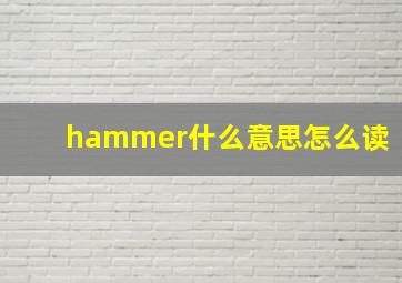 hammer什么意思怎么读