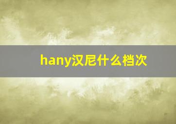 hany汉尼什么档次