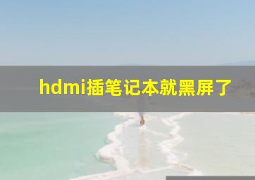 hdmi插笔记本就黑屏了