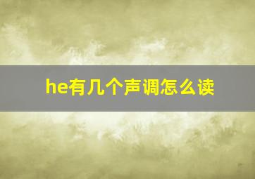 he有几个声调怎么读