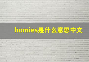 homies是什么意思中文