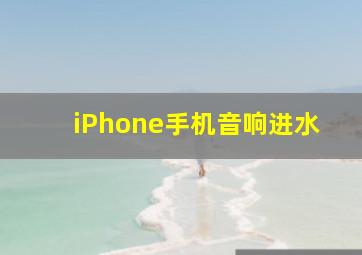 iPhone手机音响进水