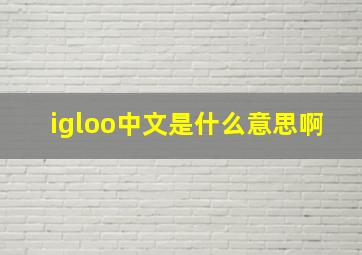 igloo中文是什么意思啊