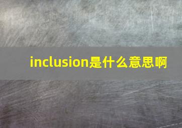 inclusion是什么意思啊