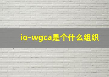 io-wgca是个什么组织