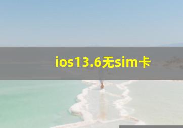 ios13.6无sim卡