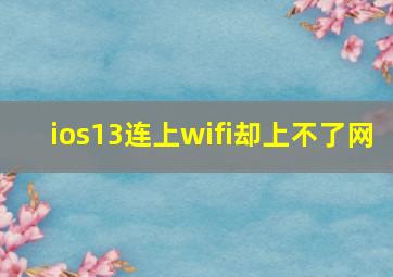 ios13连上wifi却上不了网