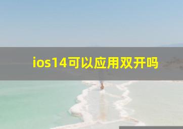 ios14可以应用双开吗