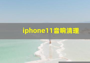 iphone11音响清理