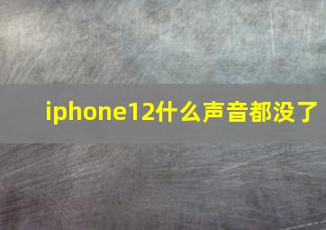 iphone12什么声音都没了