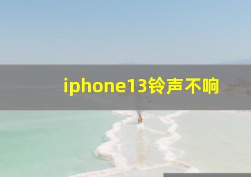 iphone13铃声不响