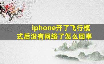 iphone开了飞行模式后没有网络了怎么回事