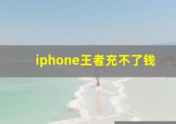 iphone王者充不了钱