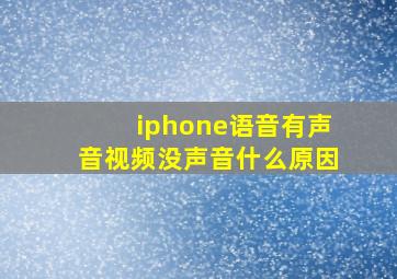 iphone语音有声音视频没声音什么原因