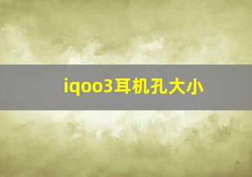 iqoo3耳机孔大小