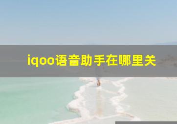 iqoo语音助手在哪里关