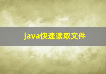 java快速读取文件