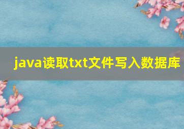 java读取txt文件写入数据库