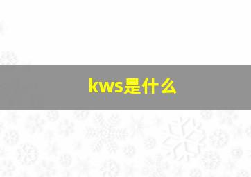 kws是什么