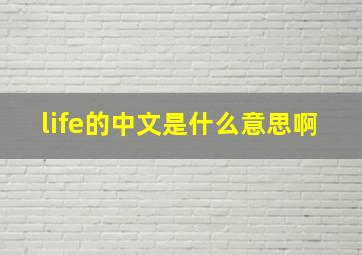 life的中文是什么意思啊