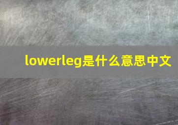 lowerleg是什么意思中文