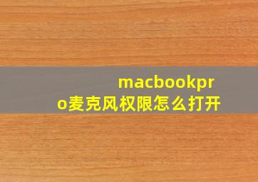 macbookpro麦克风权限怎么打开