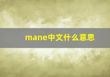 mane中文什么意思