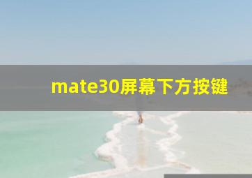 mate30屏幕下方按键