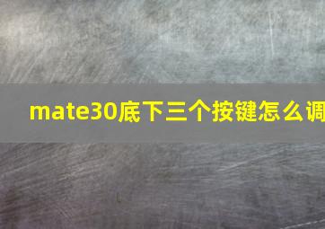 mate30底下三个按键怎么调