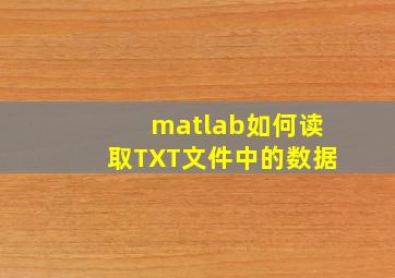 matlab如何读取TXT文件中的数据