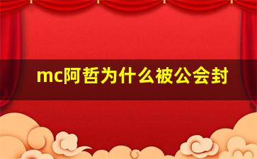 mc阿哲为什么被公会封