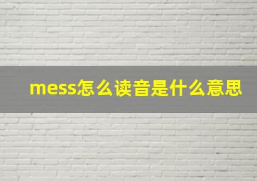 mess怎么读音是什么意思