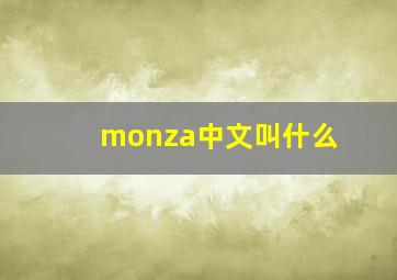 monza中文叫什么