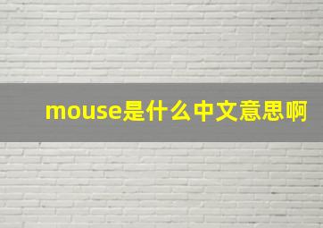 mouse是什么中文意思啊