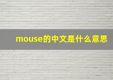 mouse的中文是什么意思