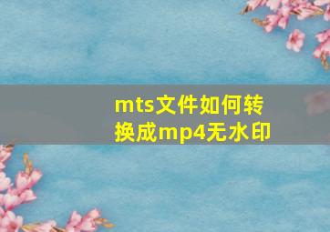 mts文件如何转换成mp4无水印