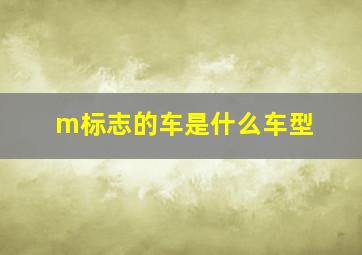 m标志的车是什么车型