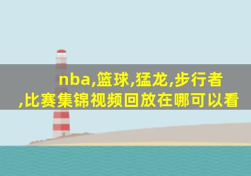 nba,篮球,猛龙,步行者,比赛集锦视频回放在哪可以看