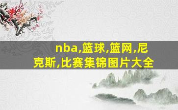 nba,篮球,篮网,尼克斯,比赛集锦图片大全