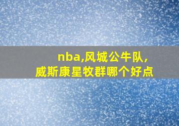 nba,风城公牛队,威斯康星牧群哪个好点