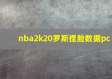 nba2k20罗斯捏脸数据pc